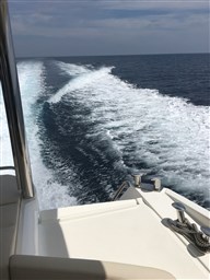 Absolute - 60 Fly