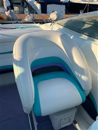 Baja Marine - 270