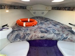 Baja Marine - 270