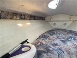 Baja Marine - 270