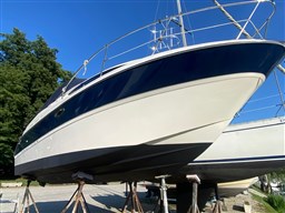 Bayliner - 245 Ciera