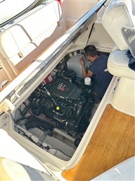 Bayliner - 245 Ciera