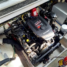 Bayliner - 245 Ciera