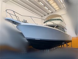 Blackfin - 29