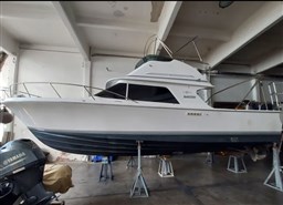 Blackfin - 29