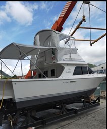 Blackfin - 29