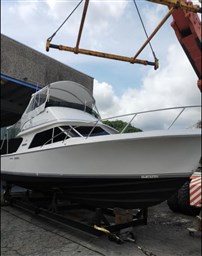 Blackfin - 29