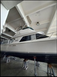 Blackfin - 29