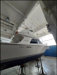 Blackfin - 29