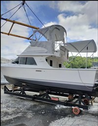 Blackfin - 29