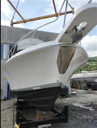 Blackfin - 29