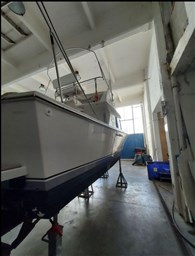 Blackfin - 29