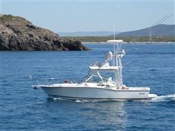Carolina Classic - Classic 28