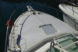 Carolina Classic - Classic 28