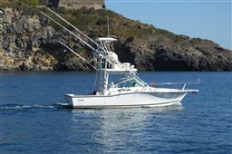 Carolina Classic - Classic 28