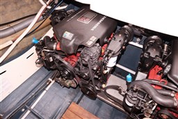 Cranchi - Csl 28