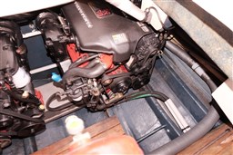Cranchi - Csl 28