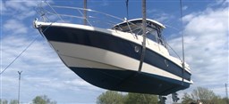 Cranchi - Pelican 32