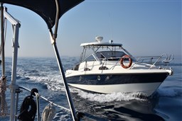 Cranchi - Pelican 32