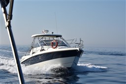Cranchi - Pelican 32