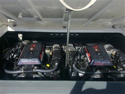 Molinari - Falcon 26
