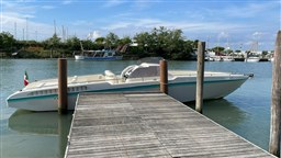 Nautirama - Iguana 35