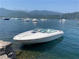 Sea Ray - 200 Sr