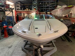 Sea Ray - 200 Sr