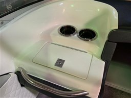 Sea Ray - 200 Sr