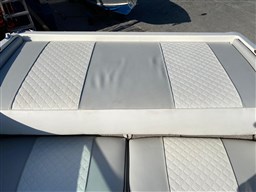 Sea Ray - 200 Sr