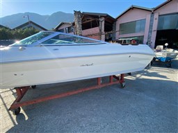 Sea Ray - 200 Sr