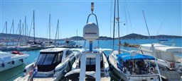 Sealine - F 42