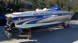 Sonic - 31ss