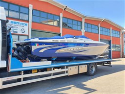 Sonic - 31ss