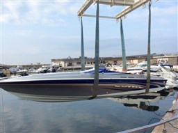 Sonic - 31ss