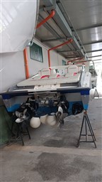 Sonic - 31ss
