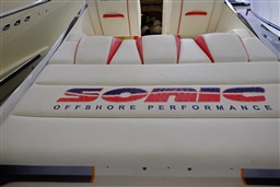 Sonic - 31ss