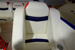 Sonic - 31ss