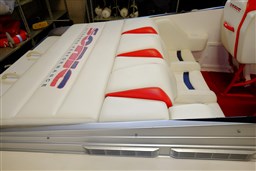Sonic - 31ss