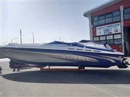Sonic - 31ss