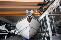 Sunseeker - Hawk 31