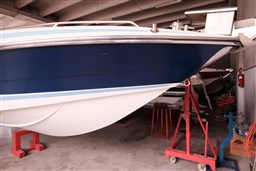 Sunseeker - Mohawk 29